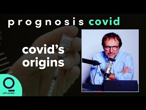 A Look at Covid Origin Theories | Prognosis: Covid UNCUT