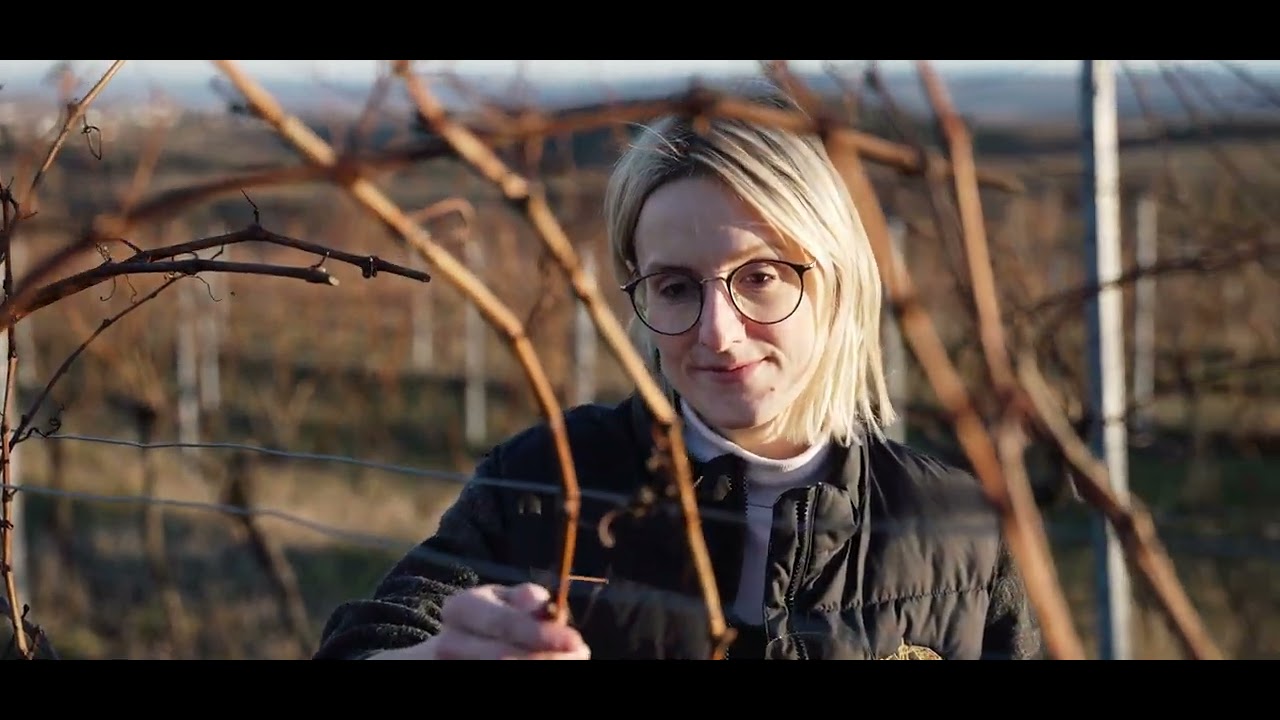 WEINGUT & WEINBLICK Grafinger