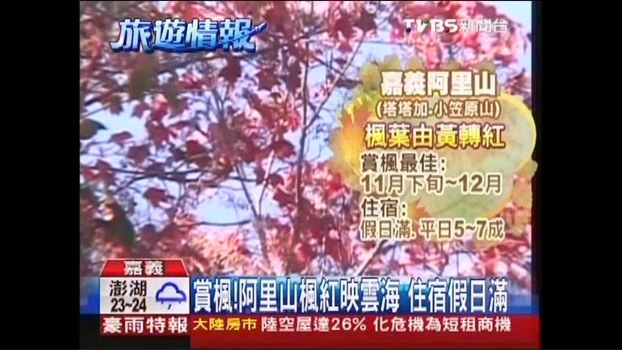 賞楓!阿里山楓紅映雲海 住宿假日滿