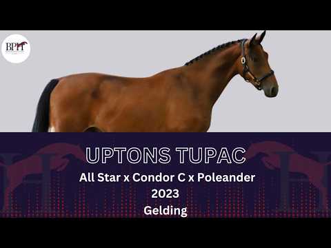 Uptons Tupac