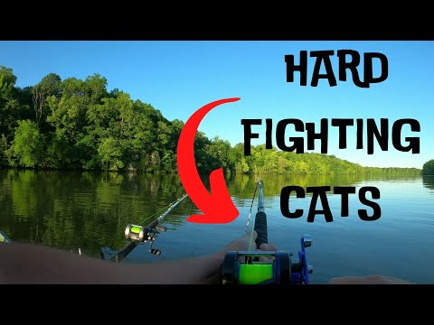 CATFISHING The RIVER In My TINY BOAT! Will FROZEN SHAD Work In The LATE SPRING?