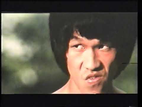 Fake Bruce Lee-Bruce Le