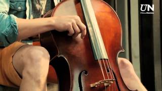 A Sharlene y a los Primera los invade el &quot;Mal de Amor&quot;