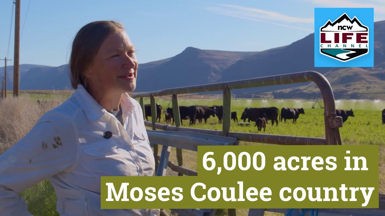 Molly’s Ranch: 6,000 acres in Moses Coulee country