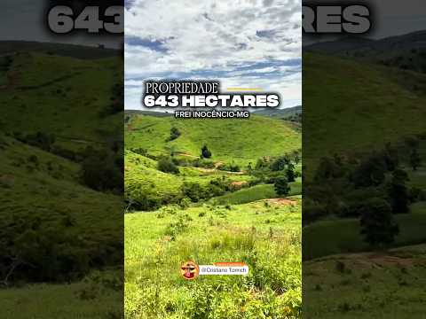 EXCELENTE PROPRIEDADE 643 HECTARES FREI INOCÊNCIO-MG R$ 12 MILHÕES #luxo #gado #pecuarista #fazenda