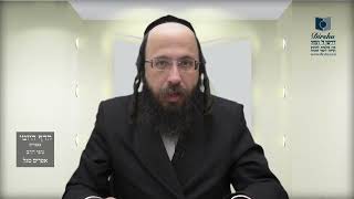 הדף היומי מסכת מנחות דף מג