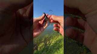 How to Rig a Soft Plastic Crawfish 🦞 #shorts