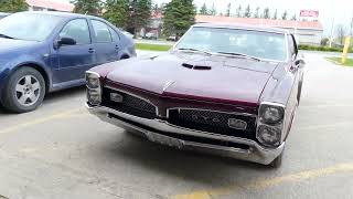 RR   - 1967 Pontiac GTO
