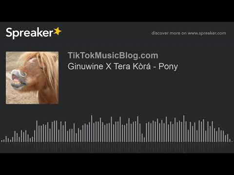 Ginuwine X Tera Kòrá - Pony