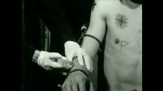 CARPATHIAN FOREST Shut Up, There Is No Excuse To Live!