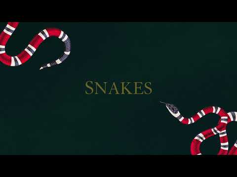FREE Travis Scott Type Beat 2017 - Snakes | Free Type Beat | Trap Instrumental