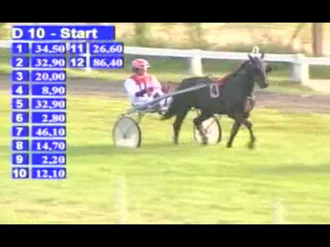 Wishful Charisma & Bas Crebas 1e op Duindigt 20 sept. 2009