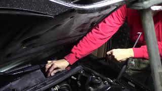 2001 Lexus ES300 Hood supports