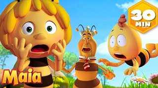A cera de abelha torna-se professora ✏️  Abelha Maia 🐝  Episódios completos | Desenhos animados