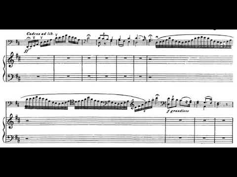 "Hungarian Rhapsody" by Popper (Shapira & Shapira)