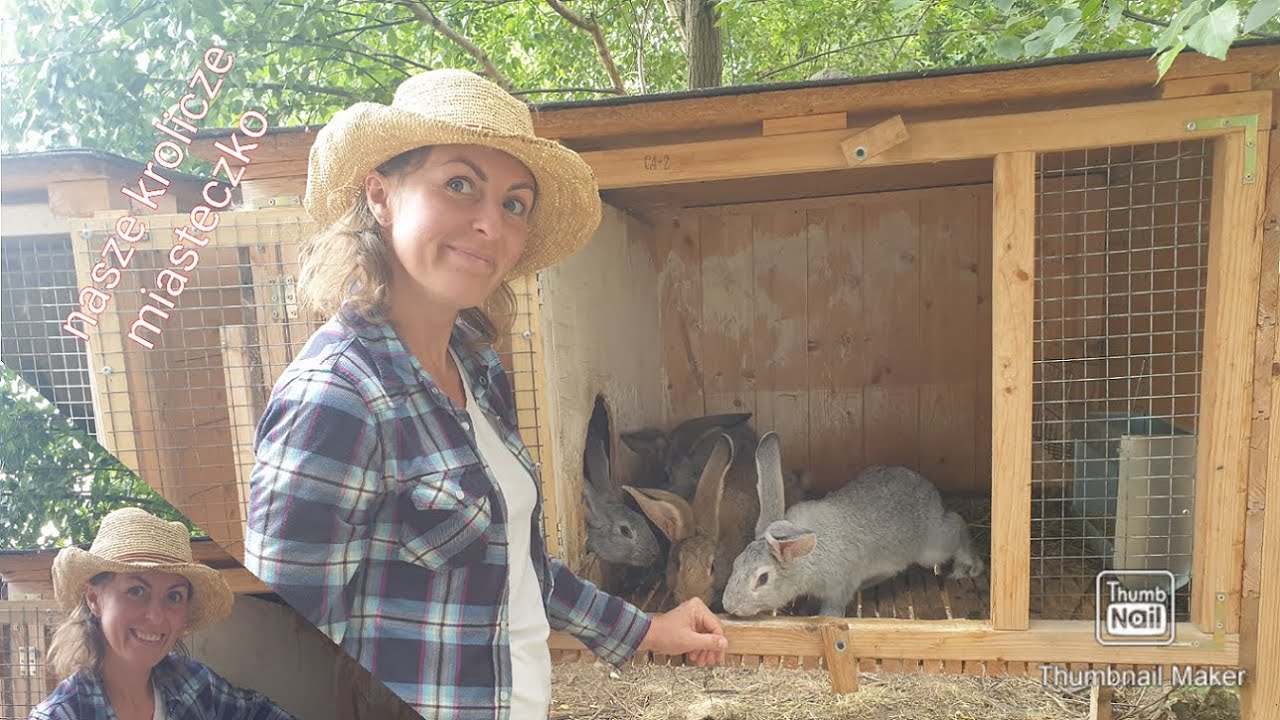 Budowa klatki dla królików. DIY jak zrobić   Małe podpowiedzi.