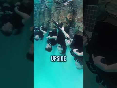 Underwater Navy Seals Training 😨 (@socomathlete)