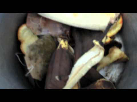 The Evolution of Composting