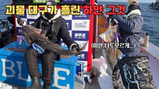 대구라바 리벤지! 메다급 대구가 참지 못하고 흘린 하얀 액체 대구 너 xxx 🤦🏻♀️ | 초보자가 괴물 대구 잡은 비법 채비 | 묵호항 인싸된 날 | 묵호 블루호 🛥️ |