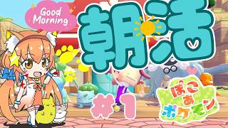 🔴①　【ぽこあポケモン】朝からぽこあ！遊んでみる！　^ↀᴥↀ^🐈【初見さん歓迎！】