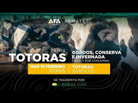 Remate AFA Gordos Conserva e Invernada desde Totoras Santa Fe