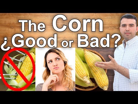 , title : 'IS CORN HEALTHY? - The Dangers and Health Benefits of Corn - Best Corn and Who Can Eat It'