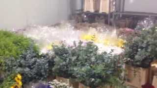 Çiçek vitrini ile çiçek sepeti gönder