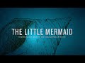 Little Mermaid