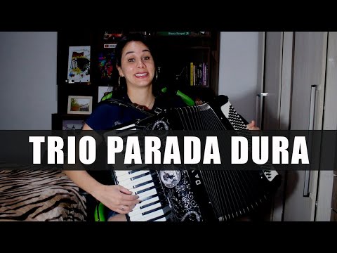 SELEÇÃO do TRIO PARADA DURA da SANFONA/GAITA