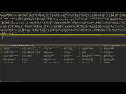 Guix Past - Online Lisp Meeting #5, 22.07.2020