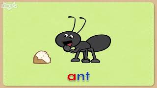 ABC Book Letter Aa Little Fox