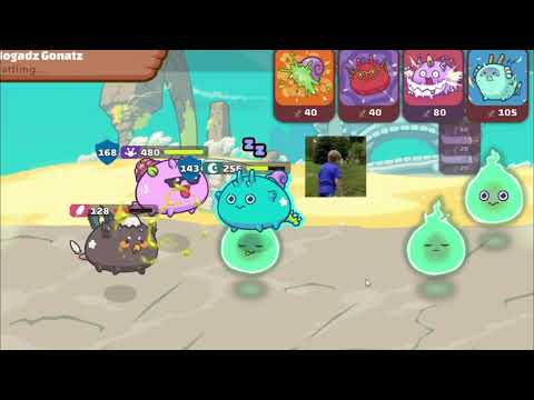 Termi vs Reflect Part 1 Axie Infiinity