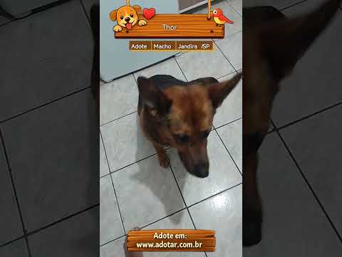 Vídeo de Thor