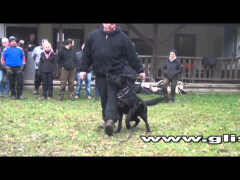 download lagu mp3 mp4 Von Der Teufelskehle, download lagu Von Der Teufelskehle gratis, unduh video klip Von Der Teufelskehle