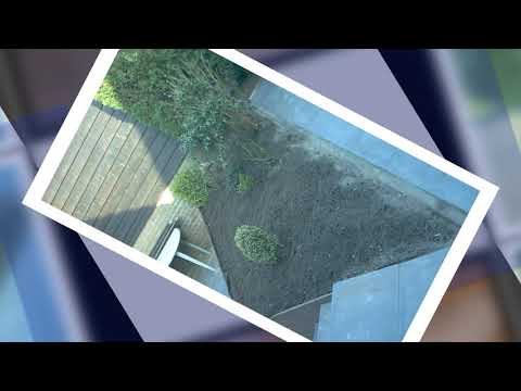 150322   000101   JM   Struisvogels   150322