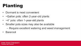 2025 HGW: Blueberry Production for the Home Gardener