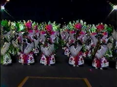 1988 Woodland String Band "This Buds For You"