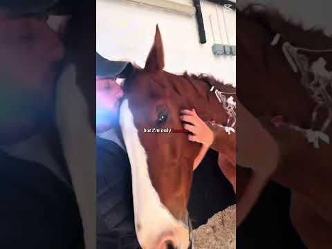 I feel so bad for demir none equestrian should go through this and I hope max gets better soon ❤️‍🩹￼