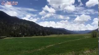 Lulang Forest in Nyingchi, Tibet