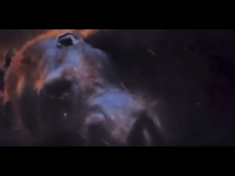 Look at this Monkey (Gone wrong😱😱😱)