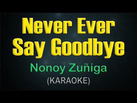 NEVER EVER SAY GODBYE / KARAOKE - Nonoy Zuñiga