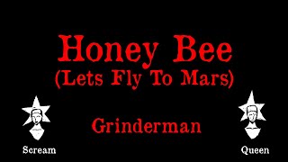Grinderman - Honey Bee lets Fly To Mars - Karaoke