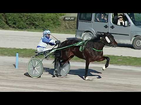 Aversa trotto 15 Febbraio 2020 - 1° Corsa