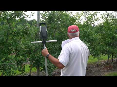 MFGA Annual Summer Meeting - Stop 2, precision apple crop load management