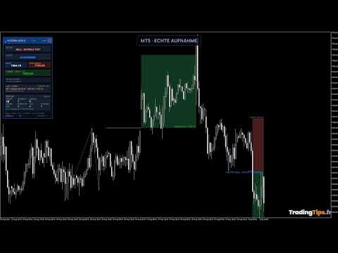 Video Double Top Bottom Head and Shoulders Levels MT5