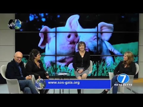 SOS Gaia Il pianeta vivo - Puntata del 20 dicembre 2018
