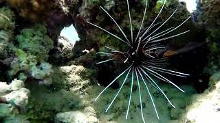 Martin Gore - By This River / DK Mixing