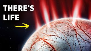 James Webb Space Telescope found life on Jupiter's moon Europa