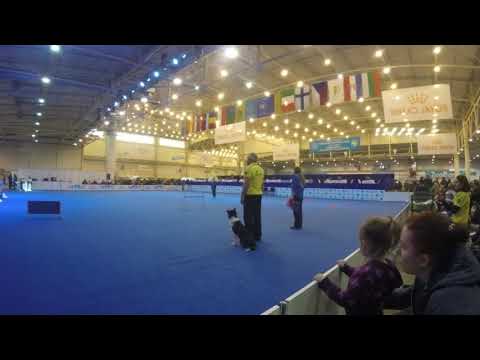 Чемпионат ОБИДЕНС  03.12.17 ч.6