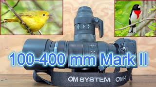 Video thumbnail for OM System M. Zuiko ED 100-400mm F5.0-6.3 IS II Telephoto Lens Review by MyBackyardBirding